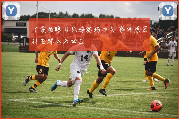 丁霞被曝与朱婷赛场冲突 事件原因待查球队未回应